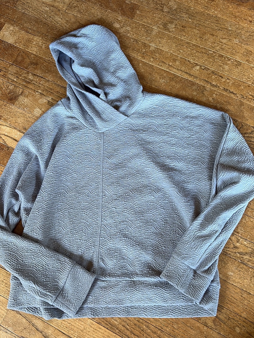 Women's Light Blue Textured Hooded Sweatshirt
